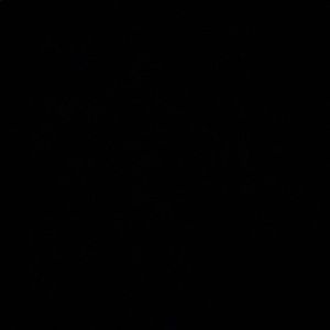 Meet your Posher, Jack